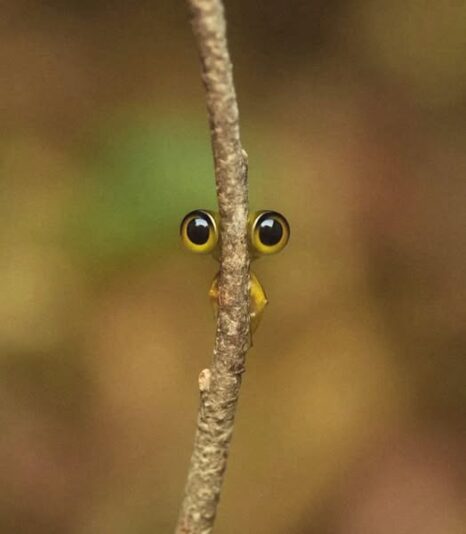 528216971_1221778063316026_6315457481680876424_n