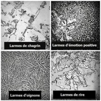 Screenshot_20250814_141917