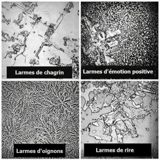 Screenshot_20250814_141917