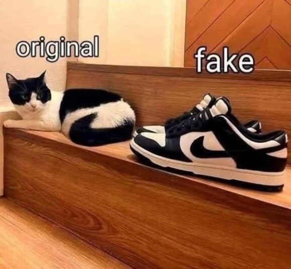 main-qimg-f6fa9fb19a5ad440d80cf079b810ad82