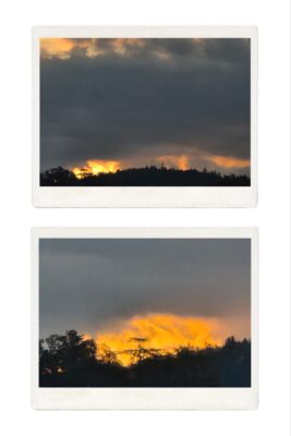 20250823_071546-COLLAGE