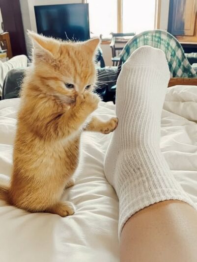 546829487_122266724816024283_3072269379176458121_n