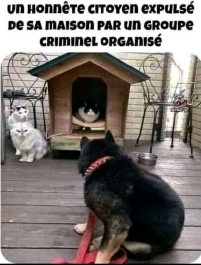 main-qimg-b071e2a74e6782091803de9b987a8cf3