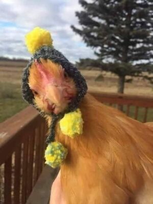 main-qimg-777956619b682e1721afd745c45e8b9c