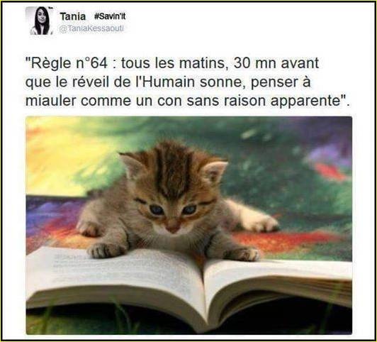 main-qimg-d887cb5a6b509a547db44179a0ce97e8