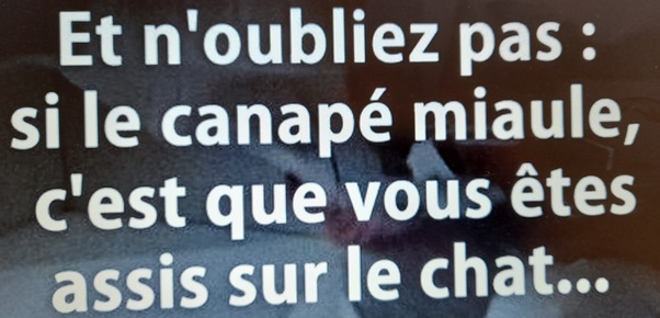 main-qimg-6889c694e605c2ab1c78f9c9ed4abb57