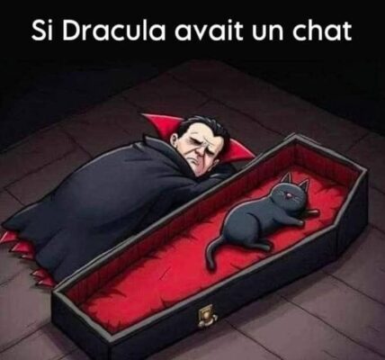 main-qimg-66f08d80fd3ccb400a0b6bd7202b5736