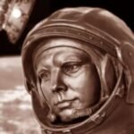 Photo de Profil de Canneton